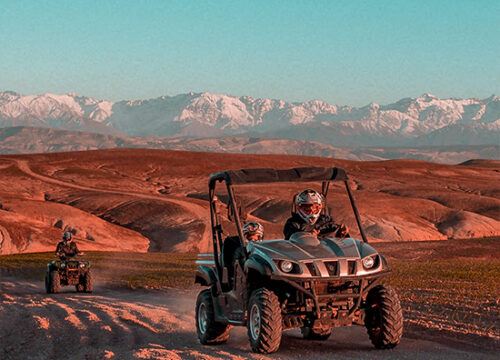 Buggy Adventure & Desert Tour in Agafay Desert