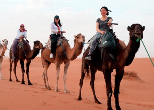 Marrakech to Merzouga 4-Day Desert Tour