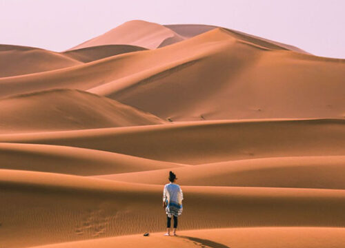 Marrakech to Zagora Desert 2 Day Trip