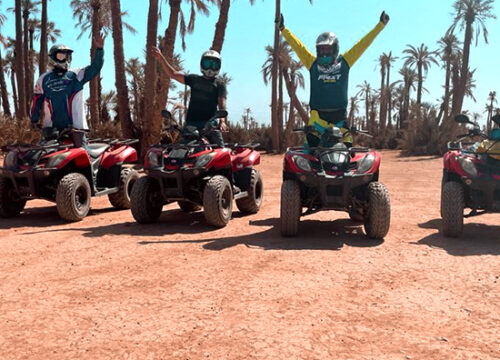 Quad Biking Experience in the Palm Groves