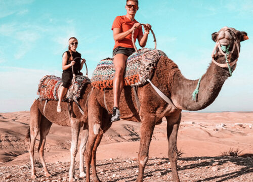 Sunset Camel Ride in the Agafay Desert