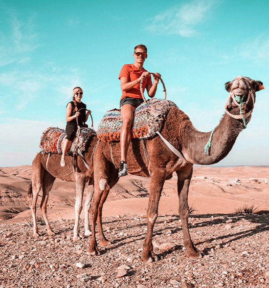 Sunset Camel Ride in the Agafay Desert