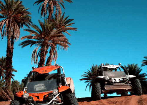 Buggy Drive in the Palm Groves